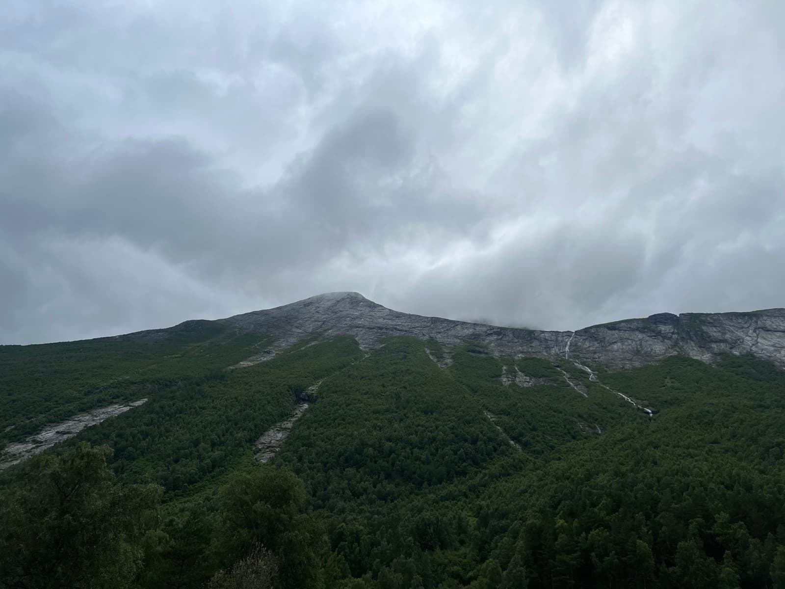 Ormula stig over skogen under låge skyer
